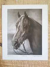 A NORMAN SIRE.VTG 12"x10" PERRY ENGRAVING PRINT.EX-LIB STICKER IN BACK*PPB