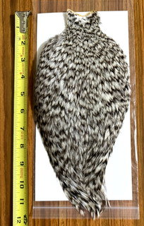 Grizzly Rooster Cape Neck Fly Tying NR