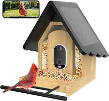 Smart Bird Feeder with Camera 2K HD Solar Powered Outdoor Bird Camera AI Recogni