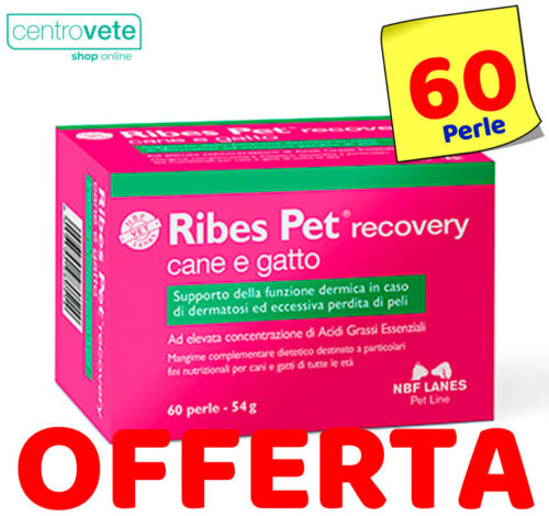 Ribes Pet Recovery - 60 Perle per CANI  GATTI → Cura Dermatiti Riduce il Prurito - Foto 1 di 2
