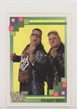 1993 Merlin World Wresting Federation Stickers The Nasty Boys #373 g6p