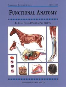 Functional Anatomy (Threshold Picture Guides) von C... | Buch | Zustand sehr gut