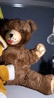 Bild 2 von 5