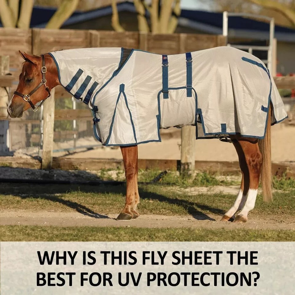 Schneiders DuraTech Mesh Attached Neck Euro Horse Fly Sheet 78 eBay