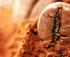 MEXICAN CHIAPAS COFFEE BEANS MEDIUM ROASTED 2 POUNDS IN 1 POUND BAGS
