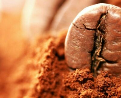 Mexican Chiapas Coffee Beans Medium Roast 2lb Split 1lb Bags Fresh Whole Bean