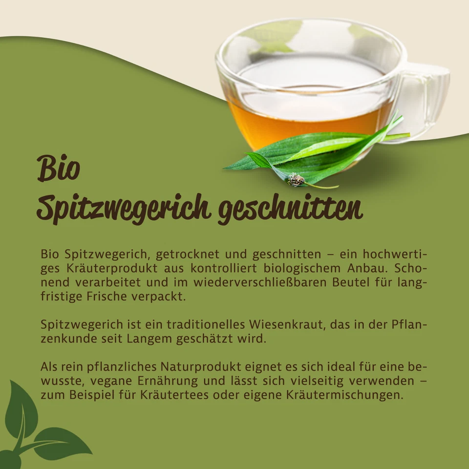 Mynatura Bio Spitzwegerich geschnitten 1000g I Tee Vegan heimische Kräuterkunde - Bild 3 von 4