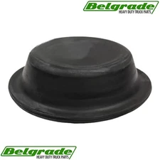 Diaphragm Type 24 Long Stroke, 179.DT24L, DP24L, 802489, E-8893