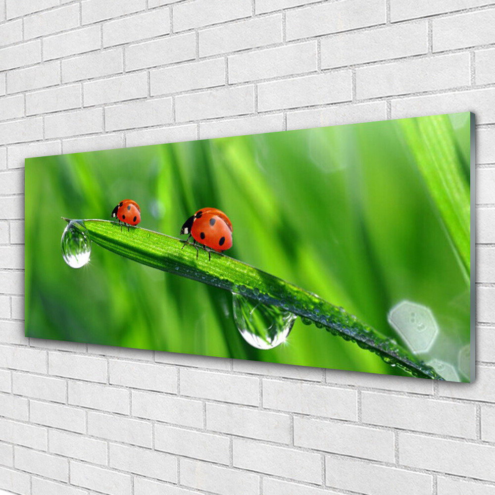Tableau moderne floral coccinelle feuille en verre acrylique 125x50
