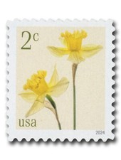 2024 Daffodils 2 cents US Postage Stamp Scott 5898 MINT