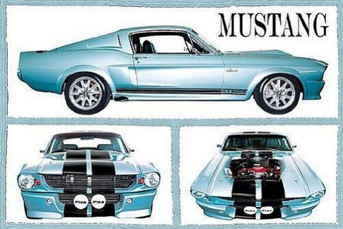 CLASSIC MUSTANG - SPORTS CAR POSTER 24x36 - FABULOUS FORD 1525 - 第 1/1 張圖片