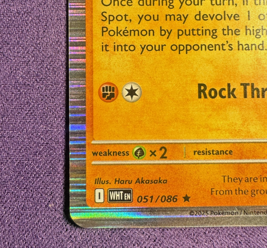 Picture 4 of 11