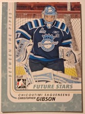 Christopher Gibson (Schwenninger Wild Wings) Between the Pipes 10/11 Future Star