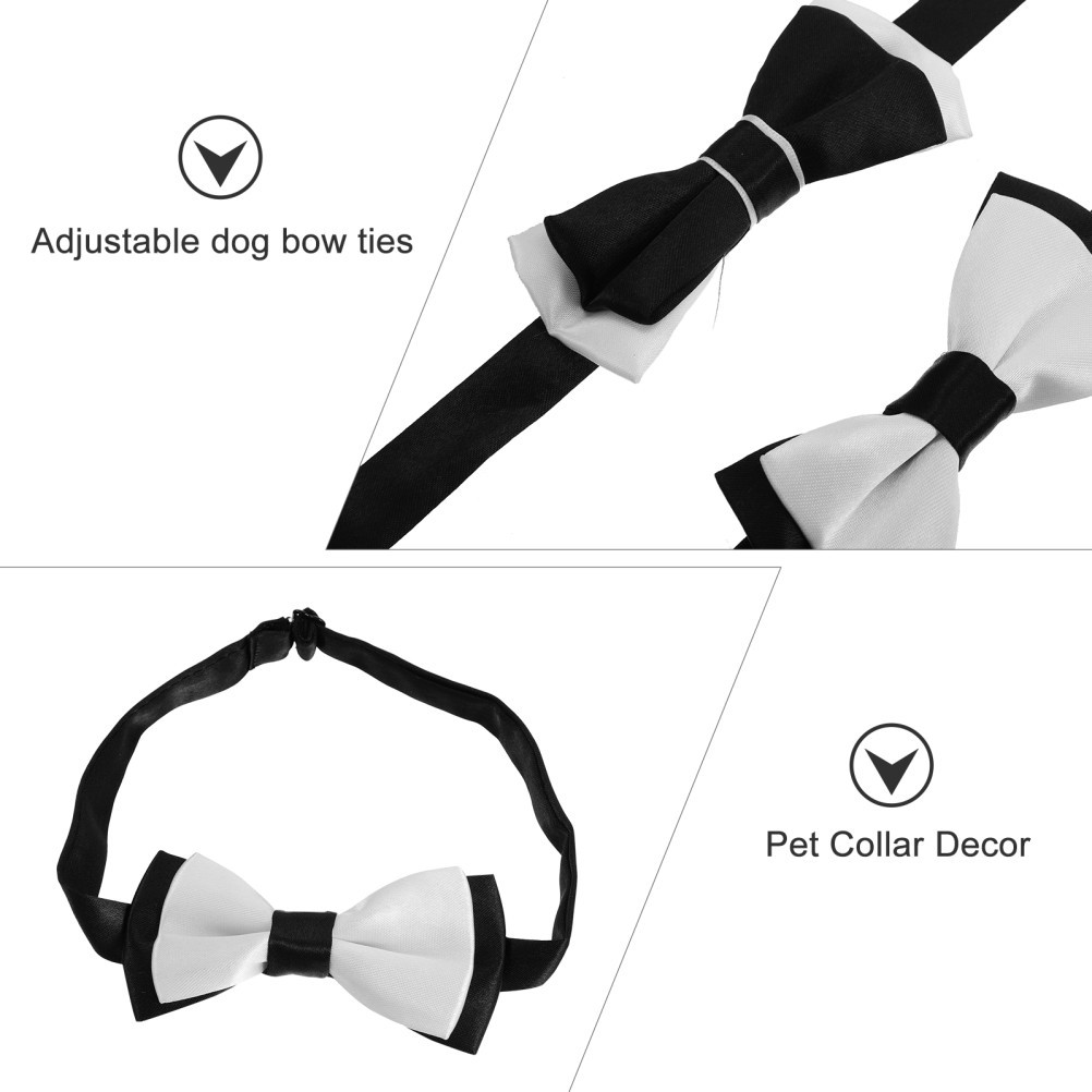 Set di 4 Accessori per Cani di Piccola Taglia foto 6