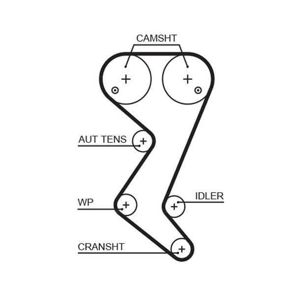 GATES-OE 5608XS Timing Belt for CITROËN,PEUGEOT