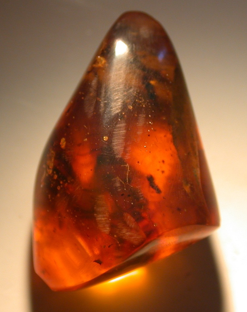 2 Mites with Wasp in Burmese Burmite Amber Fossil from Dinosaur Age