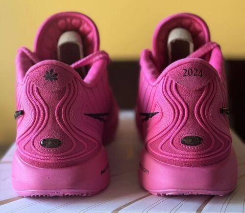 Lebron 21 Eybl Peach Jam “ Welcome To The EYBL Fam 2024” Size 15 Limited Ed - Picture 4 of 22