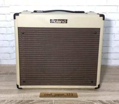Roland BC-30 BluesCube 30-Watt RMS 1x10