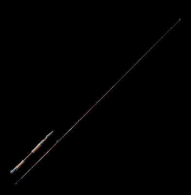 Fish Arrow Bass Rod Fish Arrow x TULALA Monster Queen 73G (Bait