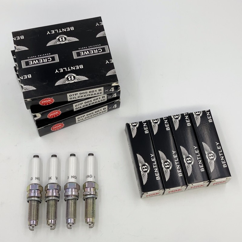 OEM 12PCS Bentley Spark Plugs W12 6.0T 07P905601B For W12