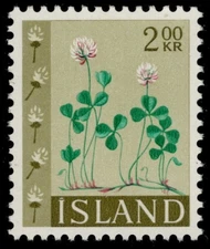 ICELAND 366 - White Clover "Trifolium repens" (pc37752)
