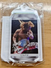 Japan Pro Wrestling Hiroshi Tanahashi Acrylic Keychain Collectible (Unused) Japa