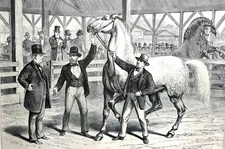 Messenger Stock Horses 1876 EXPOSITION JUDGES PAVILION Matted Antique Art Print