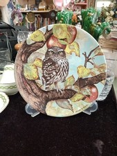 Coalport Long Eared Owl by Micheal B Sawdy Collector Plate From The Wise Owl