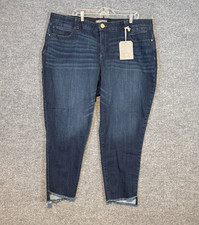 Democracy AB Technology Jeans Womens 24 Blue Denim Freedom Ankle Frayed Hem NEW