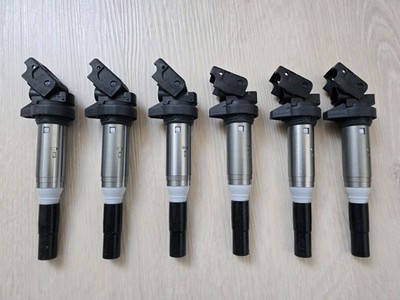 6x Original BMW F10 F90 G30 F01 G11 F91 F15 G05 G06 Zündspule (Delphi) 8611236