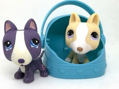 Littlest Pet Shop #2448 PURPLE BULL TERRIER Dog #860 w Bathtub LPS