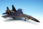 Hobby Master Shenyang J-11B Flanker-L PLAAF Peace Mission 2018 1/72 Scale HA6014 — photo 4