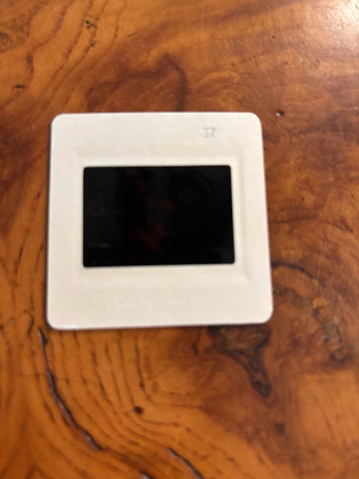 PLAYBOY PHOTO SHOOT Nude "Girls Of" SEC/BIG 12 /ACC ++ 35MM Slide (4030) | eBay