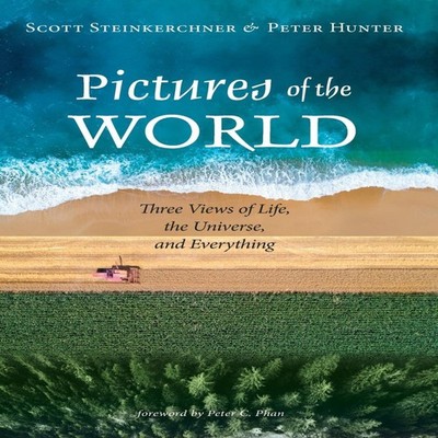 Pictures of the World Scott Steinkerchner Hardcover Wipf and Stoc