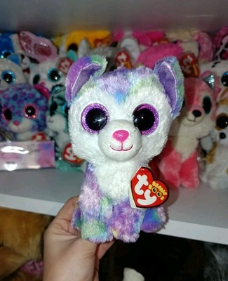 Selten Ty Beanie Boos Boo - Izabella der Hund Plüschtier Kuscheltier 6 Zoll Claire's exklusiv
