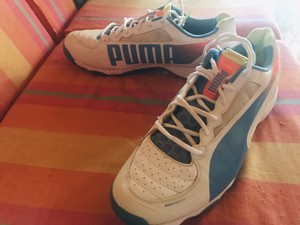 evospeed cricket shoes