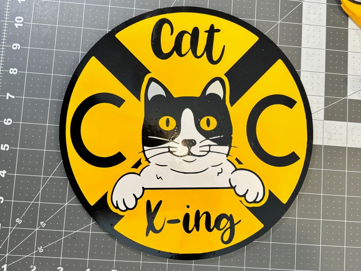 Cat Crossing 10