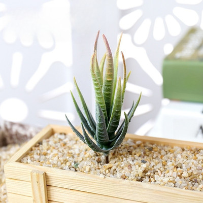 DIY für Zebra Aloe Kunstpflanze für Wanddeko Home Interior PVC 10x10x12cm