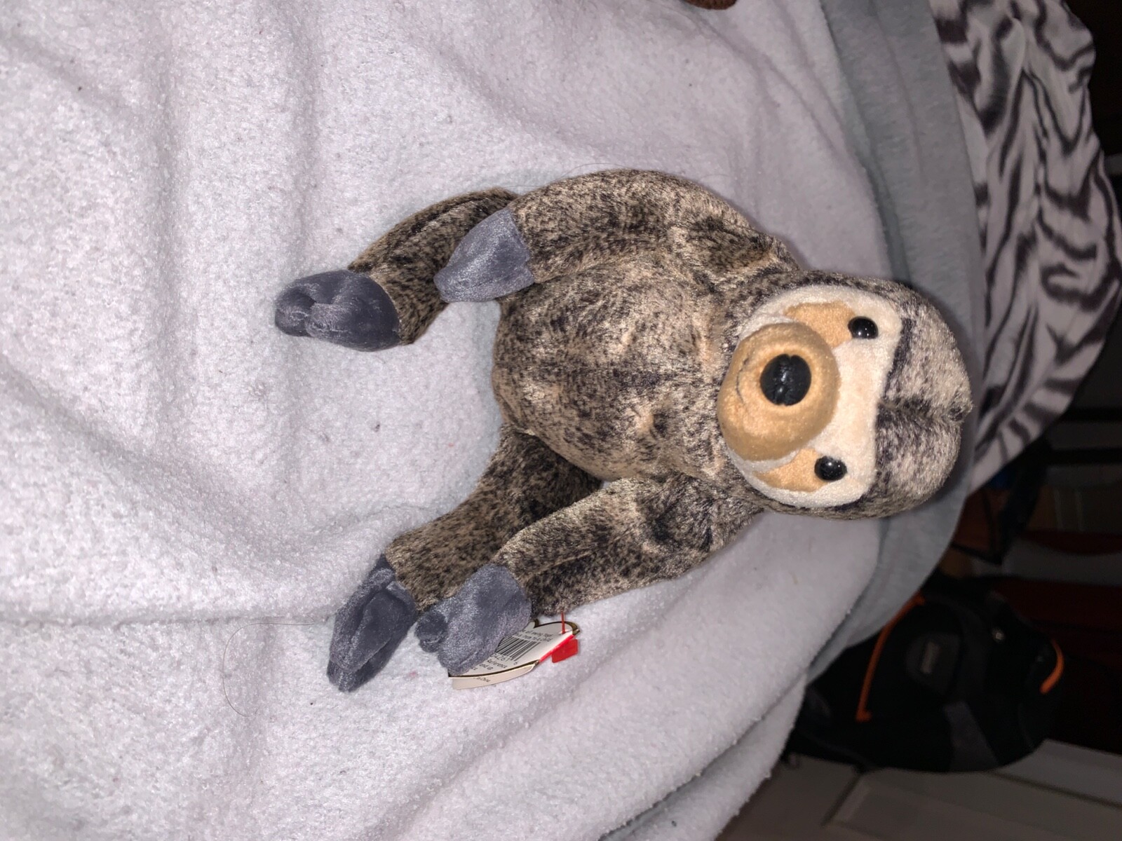 slowpoke ty beanie baby value