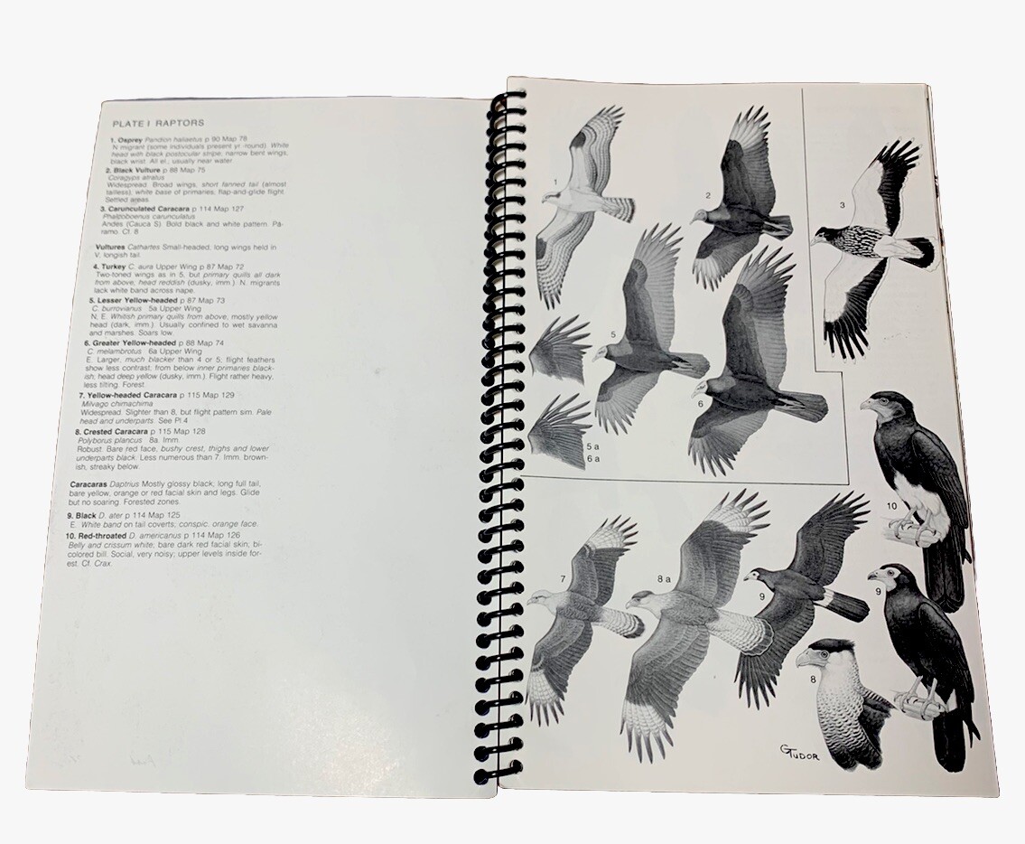 A Guide to The BIRDS of COLOMBIA - Hilty & Brown + Plates
