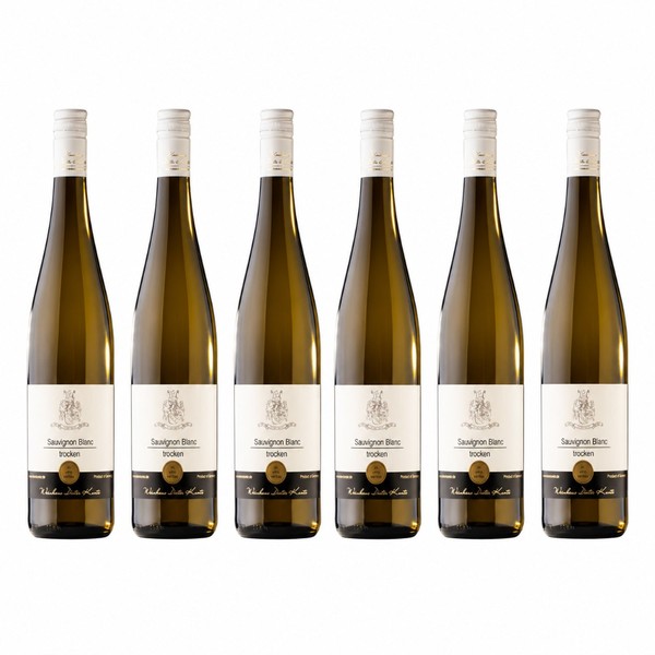 Sauvignon Blanc Trocken - Trockener WeißWein - Wein Angebote (6X0,75L) Vegan-image