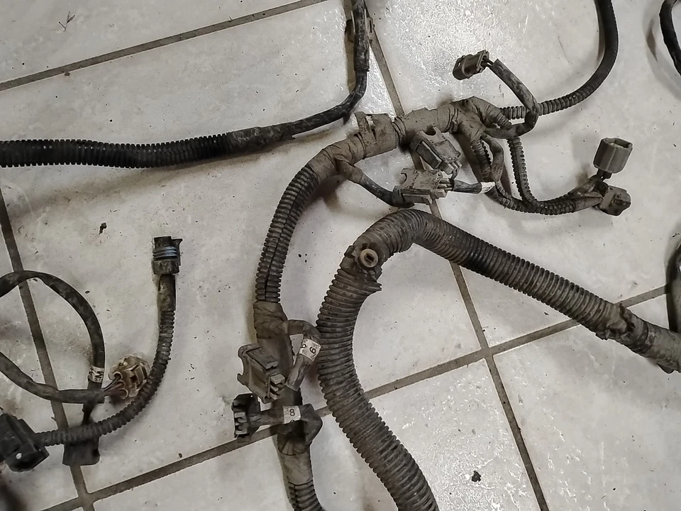 1999 Dodge Dakota 5.2L Engine Wire Harness 56018813AC - Image 4 of 4