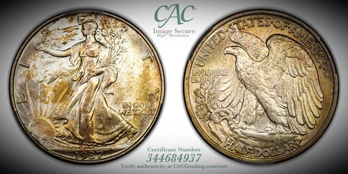 1937 Liberty Walking Half Dollar - CACG MS-66 CAC - Mint State 66 CAC