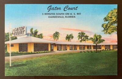 Gator Court - Gainesville, FL. vintage postcard