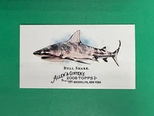 2008 TOPPS ALLEN & GINTER MINI WORLDS DEADLIEST SHARKS - COMPLETE YOUR SET - PYC