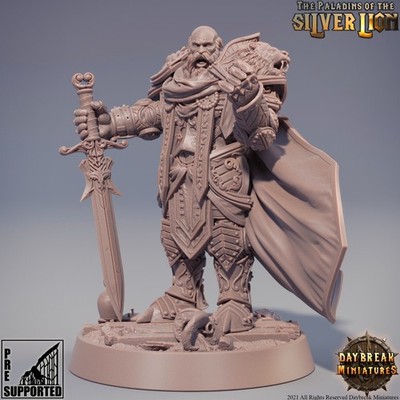 Paladins Silver Lion   Ritter Paladin 28mm   Proxy f WH D&D Einzelwahl