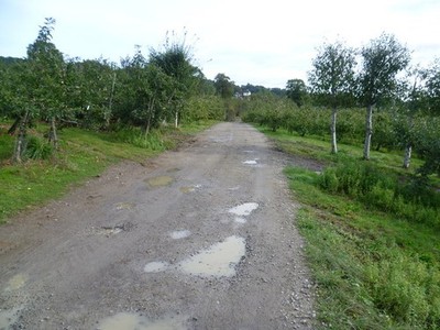 Foto A2 Dienstgleis durch Obstgärten Coxheath Diese Ansicht ist von einem Foo c2014