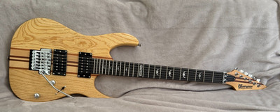 BullFighter- JACOBS MODS PRO-SETUP Neck thru electric guitar Beautiful/ Video