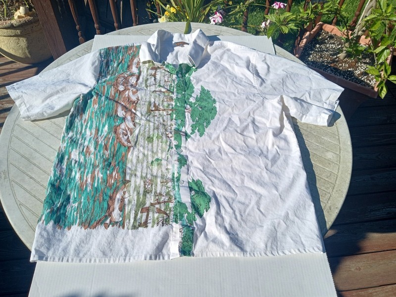 Venezzi Mens Size 4XL Linen Blend Shirt Button Down Canoe Print EUC