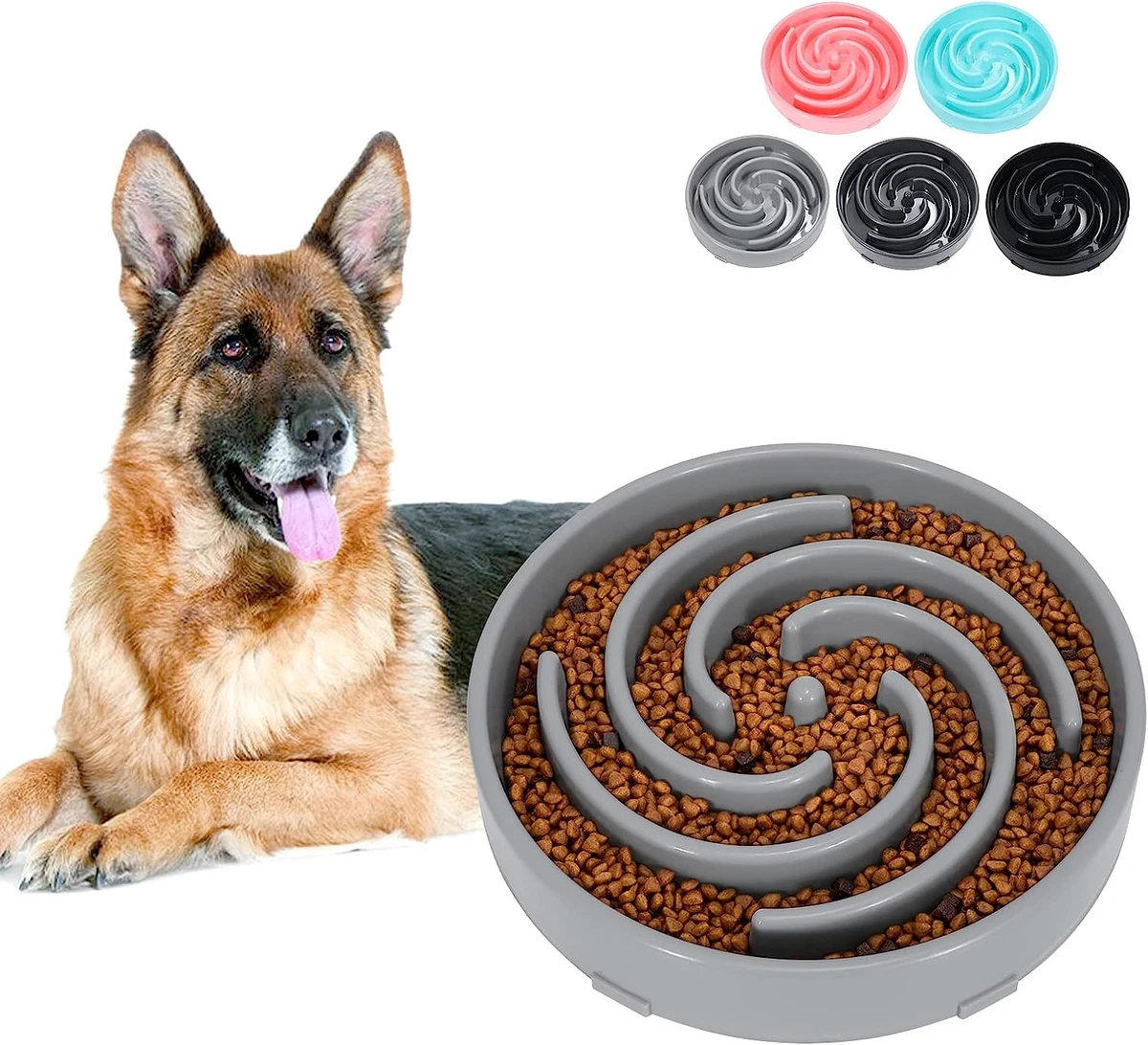 Large Slow Feeder Dog Bowl,Maze Interactive Slow Eating Bowl,Anti